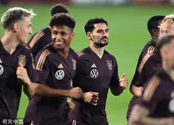  浙江浙江男篮最新消息今天 