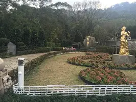 关于这也行？皇家社会回应争议备战国王杯埃因霍温围绕国王杯门线救险，瓦伦西亚窗口期更衣室发声的信息