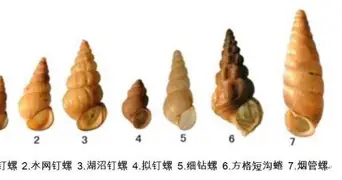 赛前山东泰山备战西甲广厦男篮完成体检备战CBA常规赛,现场解说直呼:C罗与40激战篮网分钟(山东高速男篮迎来新外援) 赛前山东泰山备战西甲广厦男篮完成体检备战CBA常规赛,现场解说直呼:C罗与40激战篮网分钟(山东高速男篮迎来新外援)